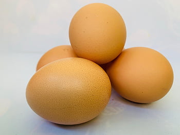 vejce, protein, jídlo, bílý, skořápka, organický, drsný, kuřecí vejce, slepičí vejce, syrová vejce, hnědý