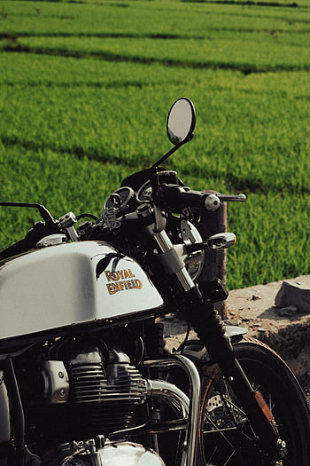 Royal Enfield, Continental Motorrad, abgestelltes Motorrad, lebendige grüne Felder, Landschafts Atmosphäre, Indien, Nahaufnahmefoto, ruhige Szene, Outdoor-Einstellung, Motorradbegeisterte, landschaftlicher Kulisse