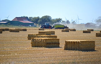 전원 생활, 농업, 건초, 수확, 짚 bales, 건초 bales, 곡물 수확, 빨대, 트랙터, 농업 기계, 농장주