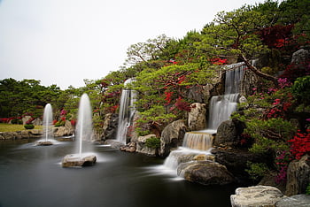 azalea, waterfall, garden, pond, water, nature, stone, flower Wallpaper, fresh, plant, flower Background