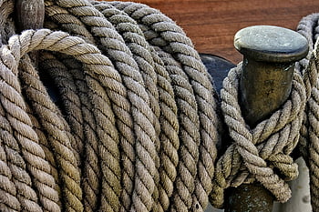 marina, bote, enviar, colegio, antiguo, ex, mercator, Belga, ostender, Puerto, mar
