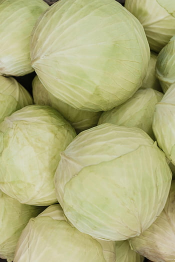fresh cabbages, close-up shot, organic cabbages, healthy meals, pile of cabbages, green vegetables, fresh produce, cabbage texture, cabbage pile, organic vegetables, healthy eating