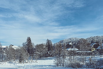 houses, nature, trees, snow, village, buildings, snowy, wintry, winter, cold, winter Mood