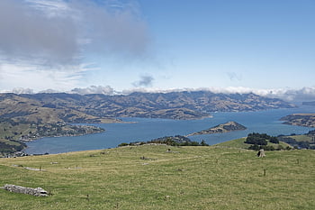 new Zealand, banks Peninsula, peninsula, akaroa Bay, bay, water, canterbury, christchurch, south Island, nature, landscape