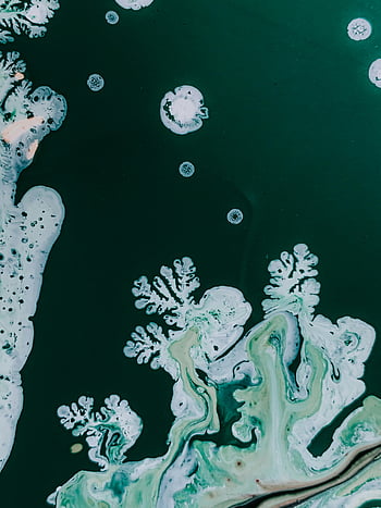 abstract art, colorful swirls, fluid art, teal and white, organic forms, abstract patterns, captivating art, abstract design, creative abstract, abstract painting, abstract fluid art