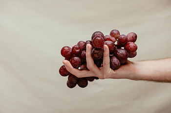 Mâna ține struguri, struguri roșii proaspeți, mână de aproape, fundal neutru, grămadă de struguri, fructe fotografie, mancare sanatoasa, produse proaspete, struguri de struguri, Close-up de mână, Close-up cu fructe