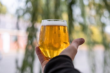 øl, lager, glass, alkohol, ale, Bar, pub, halvliter, drikke, bryggeri, forfriskning