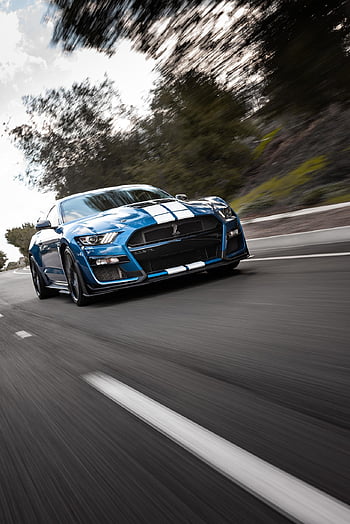 Ford Shelby Kobra, araba, yol, hız, hızlı, yarış, araba duvar kağıtları, seyahat, Oto, otomobil, otomotiv