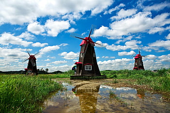 mulino a vento, campo d'erba, mulini a vento tradizionali, cielo blu vibrante, riflesso nell'acqua, vista panoramica, paesaggio all'aperto, paesaggio rurale, Riflessione del mulino a vento, fotografia naturalistica, mulini a vento di campagna