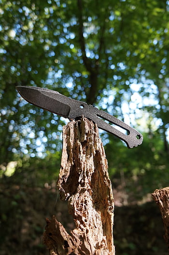 knife, beautiful Wallpaper, wild, wilderness, background, nature, travel, wood, adventure, compass, the Animal