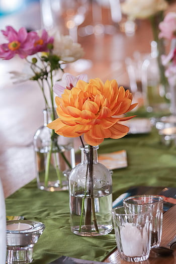 fiori che sbocciano, vasi sul tavolo, fiori arancioni brillanti, fiori rosa, vasi di vetro, arredamento da tavola, tavolo elegante, composizione floreale, dalia arancia, Anemone rosa, tovaglie verdi