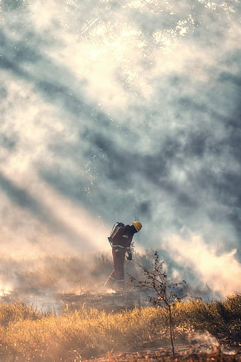 firemen, fire, smoke, rescue, brave, hero, grass Fire, forest Fire, dangerous, job, douse