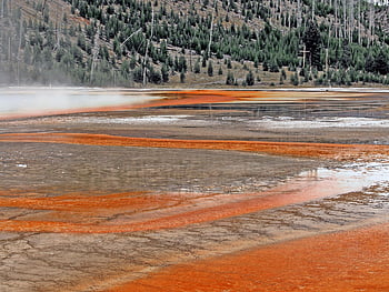 yellowstone, national Park, wyoming, usa, nature, landscape, wilderness, outdoors, scenery, geyser, hot