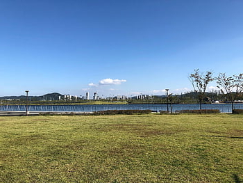 sejong, city, sejong City, day, sunny Weather, nice Weather, korea, lake Park, lake, park, grass
