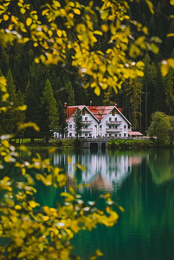 danau, rumah, hutan, kabin, alam, Wald, dia lihat, baume, herbst, kandung kemih, grün