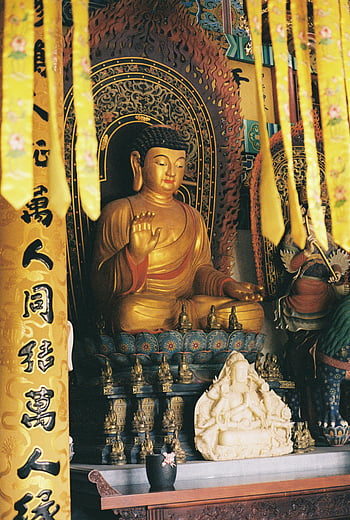 buddha emas, Pengaturan Kuil, seni keagamaan tradisional, kuil yang tenang, patung agung, patung emas, seni keagamaan, interior kuil, patung Budha, patung buddha emas, seni tradisional