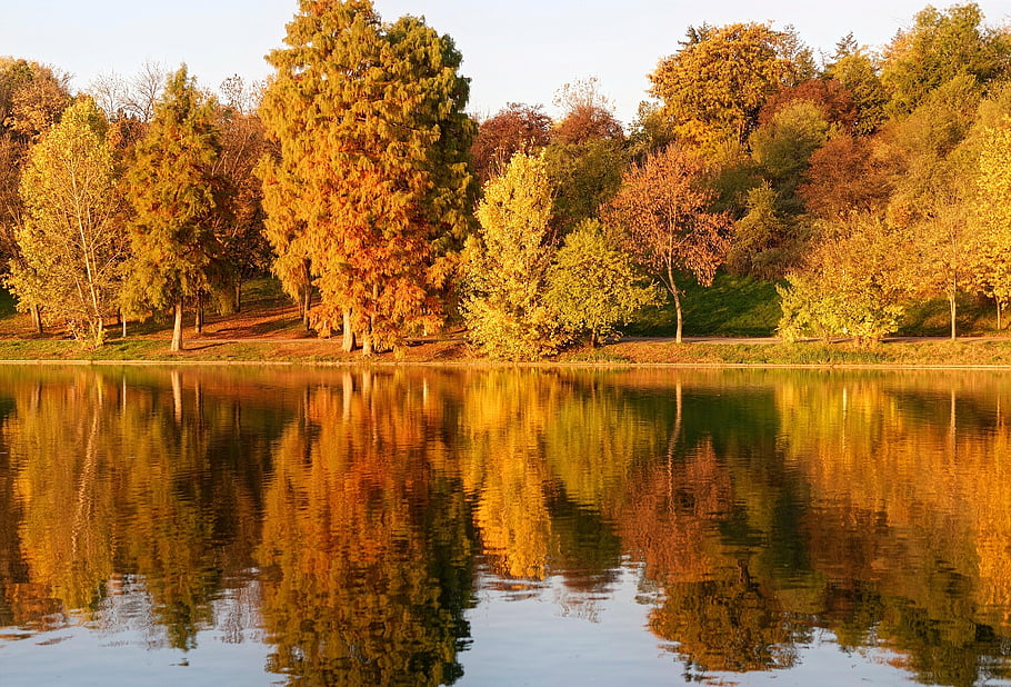 nature, autumn, park, lake, trees, fall, season, outdoors, landscape, reflections, colors