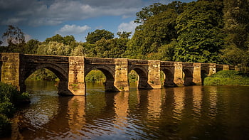 řeka, starověké, essex, architektura, shugborough, staffordshire, trent, prasnice, natue, strom, krajina