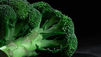 broccoli, sfondo nero, avvicinamento, Broccoli Freschi, verde vibrante, sfondo scuro, verdura, cibo salutare, verdura verde, fotografia di cibo, colpo di macro