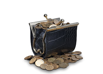 coins, purse, wallet, money, currency, change, cash, finance, savings, financial, leather Purse