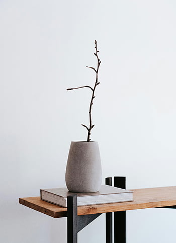 Vaso de cerâmica, decoração minimalista, galho, livro, design de interiores, vaso simples, interior minimalista, vaso no livro, decoração de cerâmica, vaso de galho, estilo minimalista