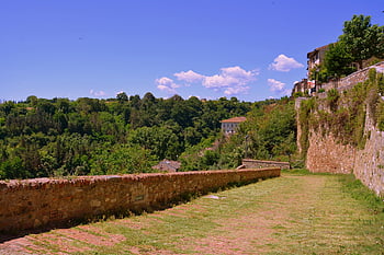 discesa, strada, erba, verde, parete, alberi, natura, colle di val d'elsa, Toscana, Italia, turismo