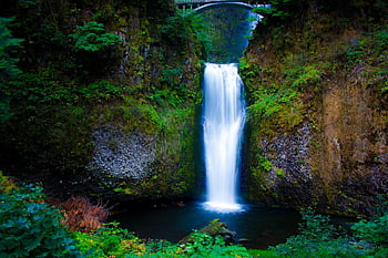 multnomah cae, portland, Oregón, Seattle, escénico, arboles, puente, naturaleza, viaje