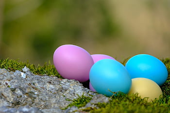 Paas eieren, geschilderd, veelkleurig, eieren, gekookt, maaltijd, voedsel, kleurrijk, de lente, Pasen, wenskaart