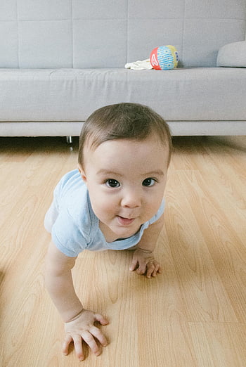 baby, blue shirt, crawling, brown wooden floor, indoor, cute baby, looking at camera, wooden floor, baby crawling, indoor baby, baby indoors