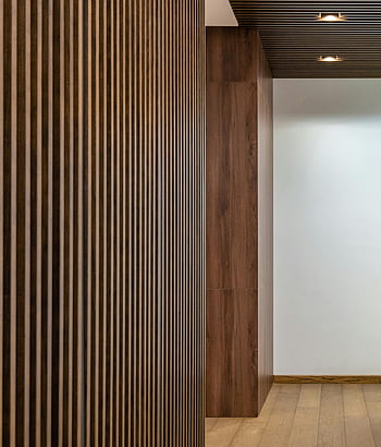 Plăci decorative din lemn, coridor, hol contemporan, panouri din lemn, plafoniere, hol spațios, interior modern, pereți de lemn, design interior, Design hol, plafon din lemn