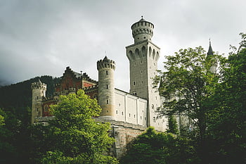 hradní architektura, Bílý a šedý beton, historické budovy, středověký hrad, kamenná struktura, design věže, Zámecký exteriér, hradní krajina, pohled na hrad, okolí hradu, hradní stromy