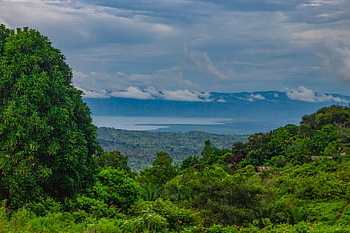 forest, nature, landscape, jungle, trees, woods, lake, scenery, rainy, sky, clouds