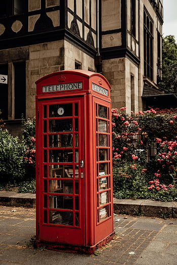 red telephone booth, vintage telephone booth, London telephone booth, green plants, flowers, sunny day, outdoor scene, urban setting, bookshelf, red booth, floral surroundings