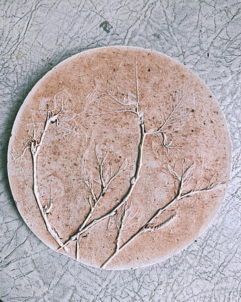 fossilized pattern, twigs and leaves, stone disc, close-up branches, nature's artistry, fossilized branches, natural patterns, stone fossil, twig fossils, leaf fossils, natural art