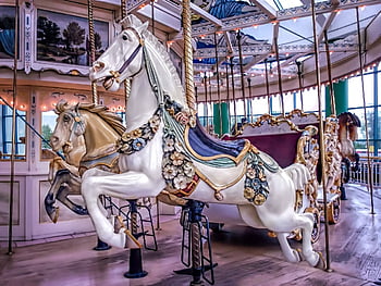 carousel, merry Go Round, merry-go-round, horse, fun, amusement, fair, childhood, vintage, ride, park