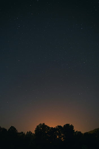 noční obloha, silueta stromy, klidná noc, zářící horizont, obrovské hvězdné hvězdy, noční fotografie, Hvězdná obloha, noční krajina, silueta stromu, noční scénu