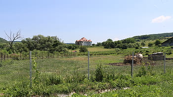 Pekry-Radak Castle, Ozd, 17th century, abandoned, state property, Bonus Pastor Foundation, therapeutic center, multi-purpose center, green field, fence, trees
