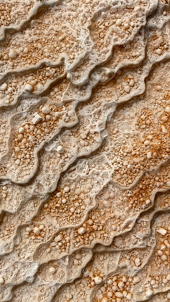 desert texture, rough surface, arid landscape, natural patterns, earthy tones, close-up view, desert close-up, textured surface, desert patterns, arid environment, earth tones