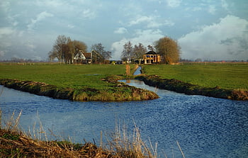 meadow, grassland, pasture, countryside, rural, waterway, farm, trees, landscape, holland, ransdorp