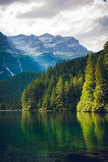 scenic view of mountain, peaceful alpine landscape, serene lake, mountain reflections, forest reflections, alpine scenery, mountain lake, forested mountains, tranquil landscape, natural beauty, mountain forest