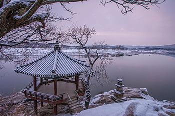 sníh, zimní, jezero, Příroda, voda, strom, hanok