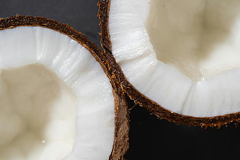 kokosový ořech, bílé jádro, kokosové ovoce, Kokosové poloviny, čerstvý kokos, Podrobný detail, hrubá skořápka, kokosový interiér, kokosové maso, Kokosová textura, Kokosový detail