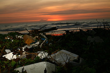strand, affald, forurening, plast, miljø, troperne, Sydøstasien, vietnam, Muine, vrøvl, kuld