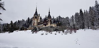 sníh, prosinec, zimní, leden, Studený, počasí, zamrzlý, les, venkovní, historický, peles hrad