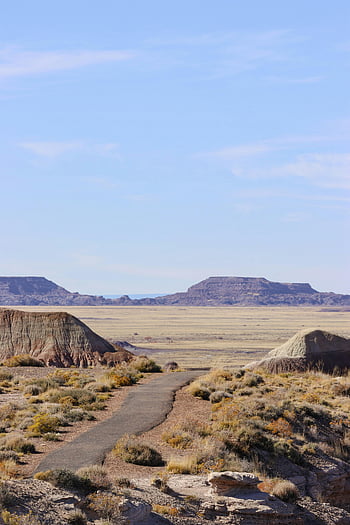 path, Petrified Forest National Park, Arizona, rugged terrain, vast sky, landscape, desert, trail, natural beauty, outdoor scenery, scenic view