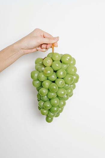struguri verzi, struguri proaspeți, Mâna ține struguri, fundal alb, apel natural, fructe fotografie, mancare sanatoasa, fructe verzi, struguri de struguri, produse proaspete, mâncat sănătos