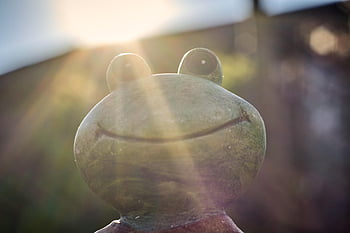 frog, decoration, garden, laptop Wallpaper, figure, Wallpaper, beautiful Wallpaper, statue, mac Wallpaper, wallpaper Hd, cool Backgrounds
