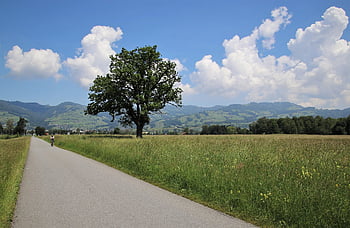 bicicletă, drum, câmpuri, ciclism, copaci, munţi, nori, cer, pajiști, pășuni, peisaj