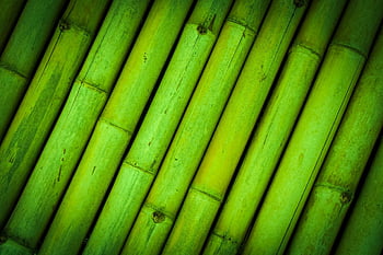 bamboe, structuur, achtergrond