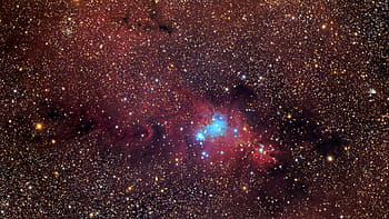 NGC2264, nebulosa a cono, cluster di alberi di Natale, monoceros, astrofotografia, Esprit 100, canone 6d, Deepskystacker, Pixinsight, Knight Observatory, tomar